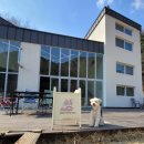 스테이위드독 이미지