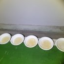 동아크리닝 이미지