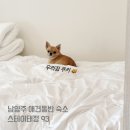 스테이 태정93 이미지