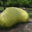 형형색색의바위들 이미지