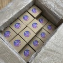 꿈꾸소어학원 이미지