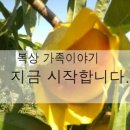 복상농장 이미지