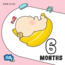 [임신일기] 20주~23주 6개월 차 11월의 일상 | 반지, 자궁경부 길이, 철분제/칼마디 복용 시작, 대구...
