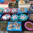 5일시장(어물전) 이미지