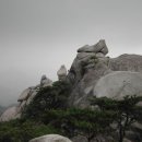 대교장