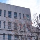 북구미래아동병원 이미지