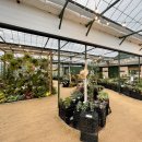 수레로4L 이미지