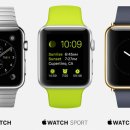 애플스포츠센타 이미지