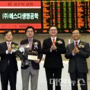 (주)이에스디 이미지