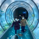 이화숲유치원 이미지