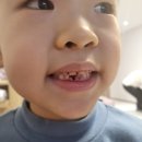 서울염동초등학교 이미지