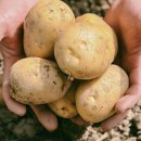 현대자동차봉화점 | 굿 브랜드 리뷰&amp;후기-이마트 상품 1시간내 배송으로 배달 전쟁 선포