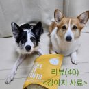 차칸치킨 | (강아지 사료 추천)펫죠 키블 치킨&amp;터키 사료 급여 후기