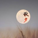 드림행정사사무소 이미지