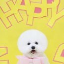 가위랑뽀글이