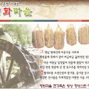 청화마을(된장,된장찌개끓이는법,된장찌개,된장국,된장배추국,된장담그는방법,된장찌개만드는법,된장만드는법,강된장,순창된장,토종된장) 이미지