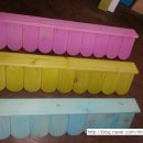 사과나무어린이집 이미지