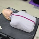 달서구보건소 | 대구광역시 보건소 심폐소생술 무료교육 참여후기...단디서포터즈 신청)｜달서구보건소｜달서건강복지관