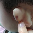 중랑경찰서어린이집 이미지