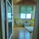 님 바래기 이미지