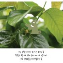 인스브레인 이미지