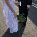 용산-193 | 스튜디오비비 용산공원 야외웨딩스냅촬영 후기