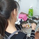 비슬고등학교 앞 이미지