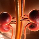 덕산휘트니스 이미지