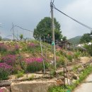 바람개비