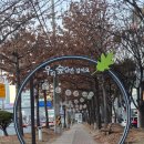 이마트24 R 구미옥계원룸점 | 2026 W1 주간일기