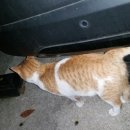 노무내농장 이미지