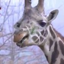 박세인 농장 이미지