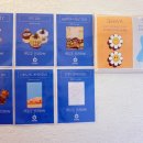 백드롭 감성 페인팅 (7월) | [행궁동공방] 감성 가득한 세화 미술공방, 백드롭 페이팅 활동 후기