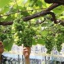 희성농장 이미지