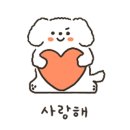 다산마리동물병원 이미지