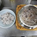 오리와 쭈꾸미 이미지