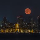 블러드문 이미지