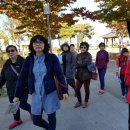 호시통탐험대체험학습센터 | 평생학습으로 적절한 지역역사문화 알기 군산탐험대