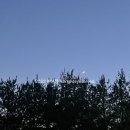 현대백화점 신촌점 압소바 | 임신 38주차 일상 기록