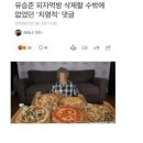 유 피자 - 성북구 | 유 피자