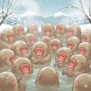 초향기 | 겨울 문경 2박 3일-3-끝