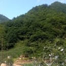 애플마루펜션 이미지