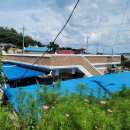 신비민박 이미지