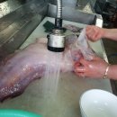 바위섬 민박 이미지