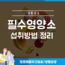 Wellness(건강한 삶)은 건강의 핵심이다 | 노년기 건강을 위한 필수 영양소 섭취와 올바른 영양제 선택 기준