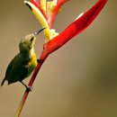 김밥천국 (동문점) 이미지