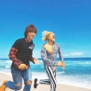 에이스 비디오클럽 이미지