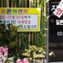 로지노돈부리