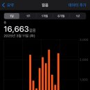 3일차 | 하이드 파크, 배럭 박물관, 세인트 메리 대성당, 보하우스 커피, 시드니 마사지, 소피텔 아뜰리에