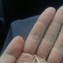 대흥공구철물 이미지